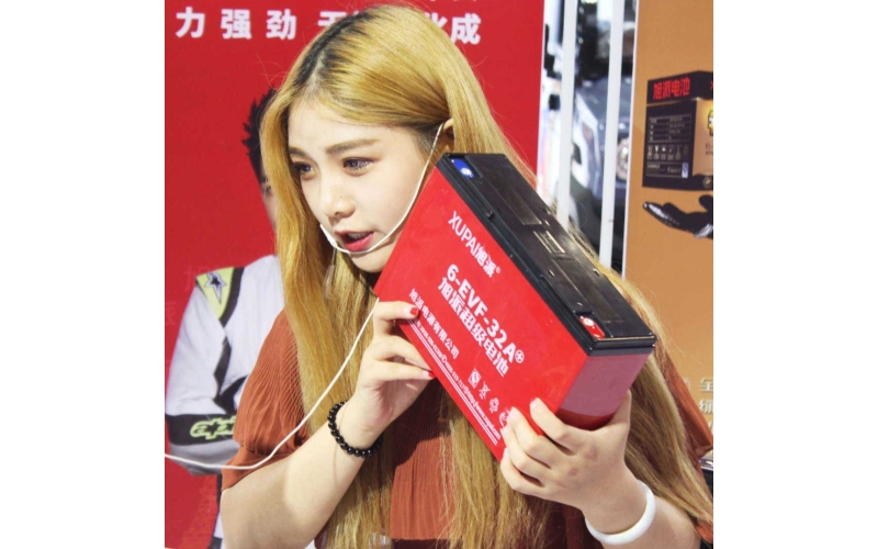 2017年第6屆山東國(guó)際節(jié)能與新能源汽車展